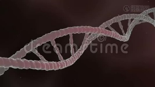 旋转抽象DNA螺旋.. 科学和医学3D概念视频