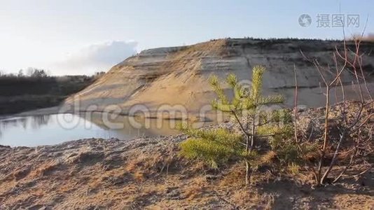 沙山和湖杉植物平静的景观视频