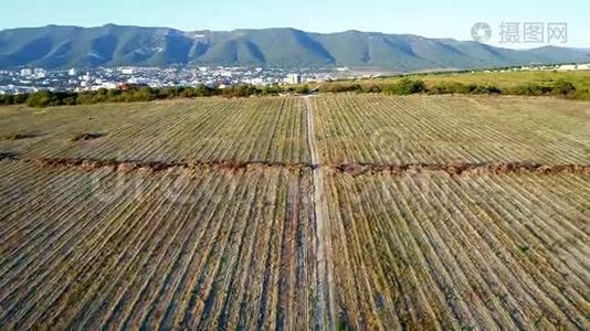 在农田里沿着土路飞行。 这条路通向山脉。 在田间收获的一排排视频