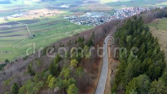 穿过森林的道路，转弯，松树，针叶树视频