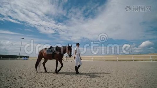 年轻女子骑马者与棕马牵着缰绳在沙骑竞技场散步视频
