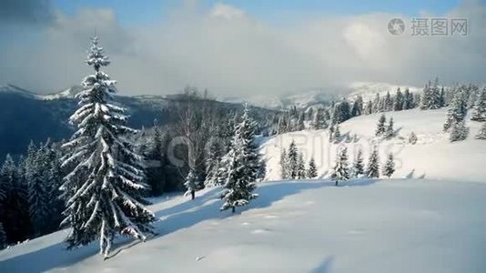 美丽的雪山景观全景，白雪覆盖森林。视频