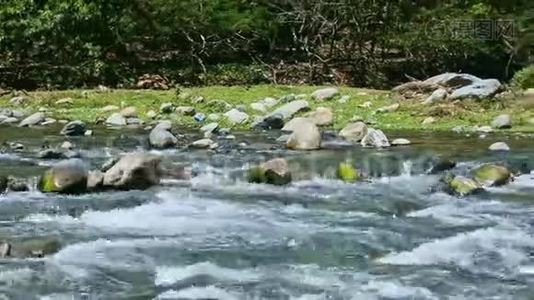 特写全景，就在宽山河溪，有大石头急流视频