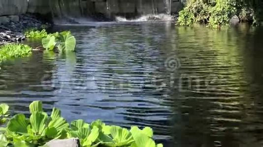 加蒂诺人工瀑布和水域景观视频