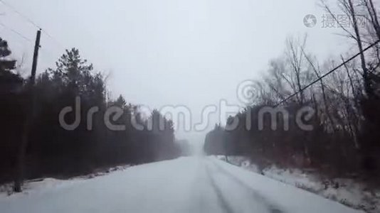 *较轻版本*在冬季暴风雪期间驾驶乡村常绿森林道路。 查看POV雪雪暴雪的驱动点视频