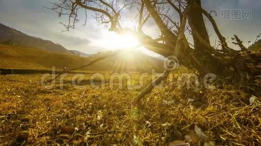 死亡树和枯黄的草在云和太阳光线的蒙天景观的时间流逝。 水平滑块运动视频