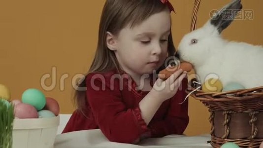 那个女孩在玩和抚摸一只兔子。 复活节的主题。 假日视频