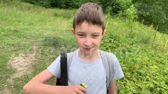 一个饥饿的十几岁男孩走过一片绿色的田野，草地，在进去时吃着美味的生黄瓜的画像视频