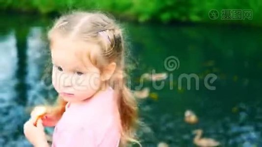 小女孩在池塘边吃面包喂鸭子视频