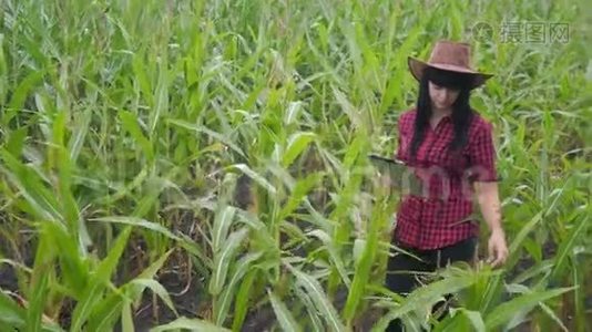 智慧生态农业养殖理念.. 农民女孩植物研究员一个用途，触摸平板电脑，同时检查生活方式视频