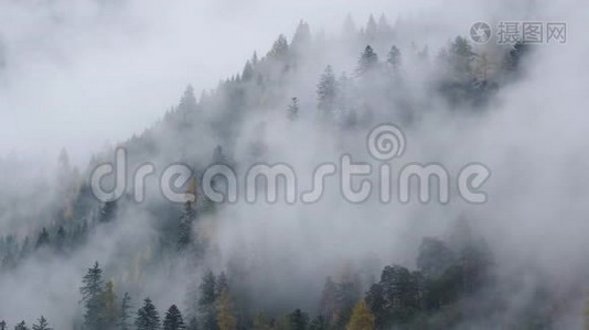 神秘多云多雾的秋季高山山坡景象.. 奥地利Lienzer Dolomiten阿尔卑斯山。视频