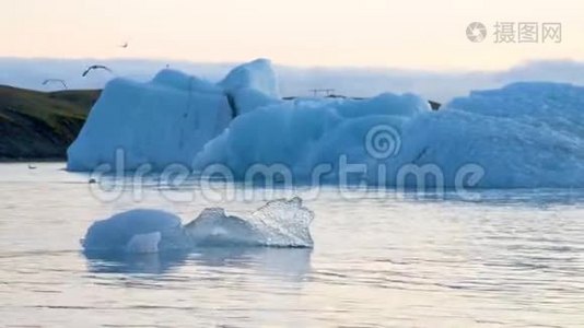 冰山和海豹漂浮在冰岛的冰泻湖中视频