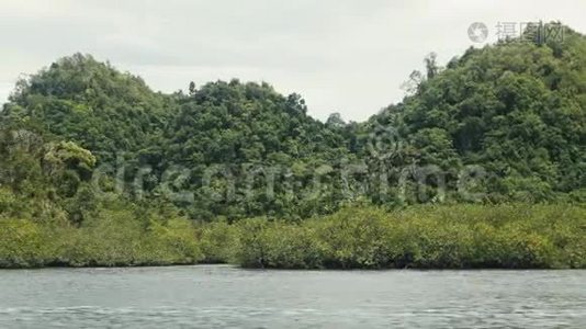 迷人的热带岛屿雨林山的美丽。 菲律宾人。视频