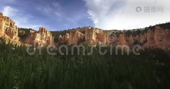 在阳光明媚的一天，无人机摄像机在罐头上拍摄峡谷和松林的底景视频视频