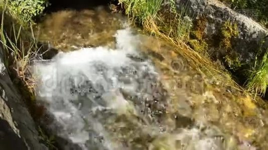 一条美丽的山溪流过石头，背景。 清澈的水，自然，慢动作视频