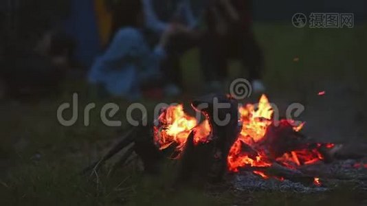 晚上篝火，露营的人背景在草地野炊。 在黑暗中篝火。 橙色和黄色的火能视频