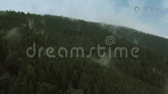 神秘而多雾的无人机在山上的雨林上空飞行。 近景。 移动摄像机视频