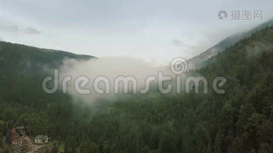 神秘而大雾无人驾驶飞机飞越山林。 全景观视频