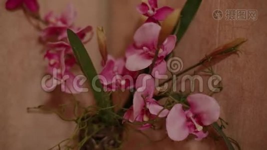 粉红色的花放在架子上的花瓶里。视频