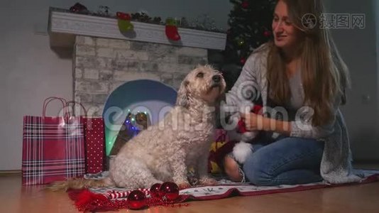 微笑年轻迷人的女人拥抱可爱的小狗视频