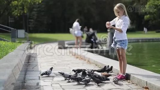 一个漂亮的女孩站在公园的一个湖的岸边，向鸟儿扔面包。视频