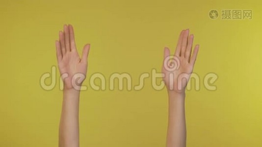 孤立的女性双手拍在黄色背景上视频