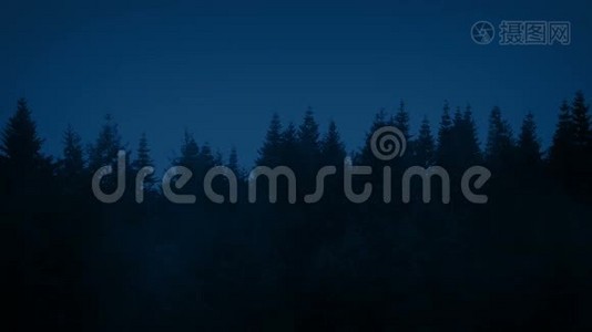 薄雾之夜的一排树木视频
