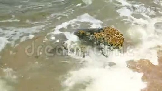 海浪冲洗覆盖着淤泥的大石头。视频
