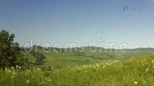 4空中：在阳光明媚的夏天，在热带岛屿的大山上，飞翔在美丽茂盛的绿树上视频