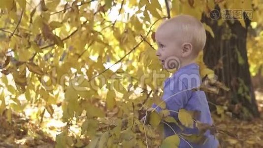 一岁的小可爱宝宝在秋天公园的树旁玩耍。 站在落叶上微笑视频