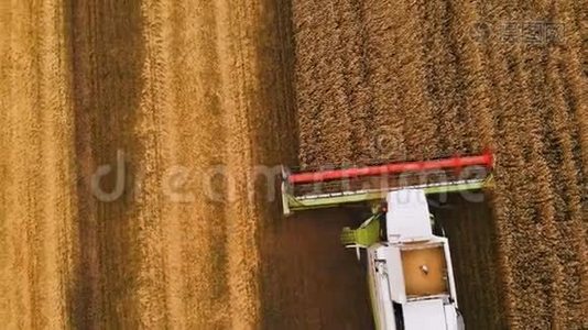 夏季小麦收获的特写鸟瞰图。 田间劳动的收割者.. 农业联合收割机视频