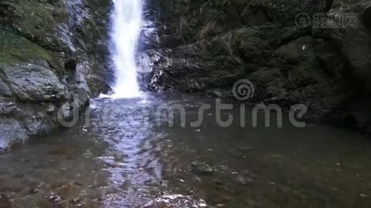 海豹幼崽在瀑布池里玩耍视频