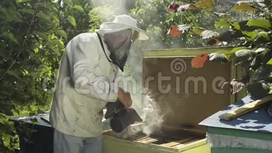 戴防护面纱和帽子的养蜂人与蜂房吸烟者熏蒸蜂房视频