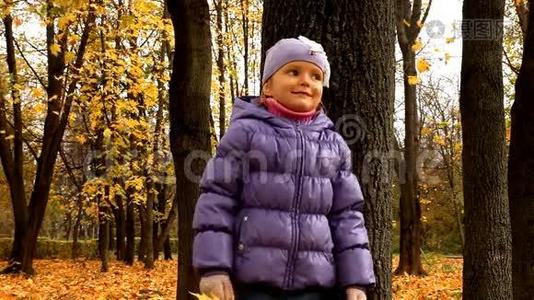 秋天森林里的宝贝视频