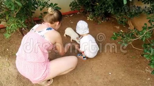 4k视频：年轻的微笑妈妈与可爱的幼儿男孩喂养白兔视频