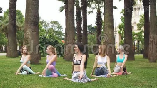 健身女性团体在户外公园花园做瑜伽姿势冥想视频