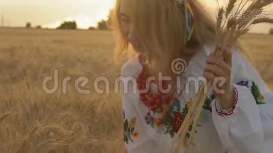 慢动作，特写，美丽的女人穿着国家服装在麦田里舔麦穗，把它放在手里视频