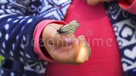 蝴蝶坐在孩子的手掌上视频