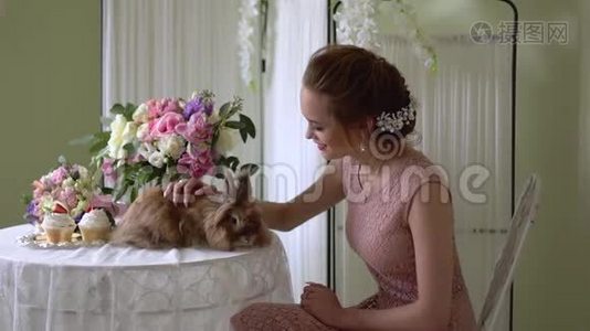 女孩在抚摸一只漂亮的棕色兔子。 女孩正看在她面前。视频