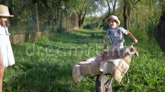 孩子们在大自然的手推车里玩得很开心，小男孩和小女孩在村子里戴着草帽视频