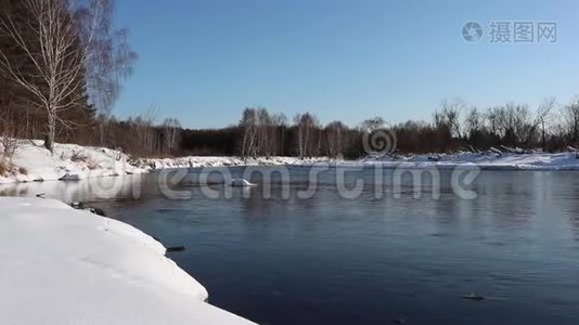 解冻的河流在白雪覆盖的白桦林海岸之间流动视频