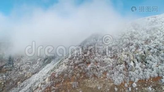 壮丽的山腰和巨大的悬崖，在阳光明媚的日子，茂密的雪林在云层中对抗蓝天。 开枪射击视频