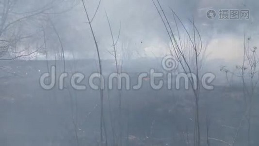 野火造成的空气污染，燃烧场上方的烟雾视频