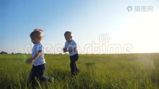 小朋友在一个夏天的草地上奔跑.. 金发兄妹在户外玩得很开心。视频