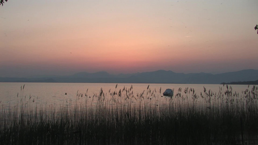 夕阳下平静的湖面湖水视频