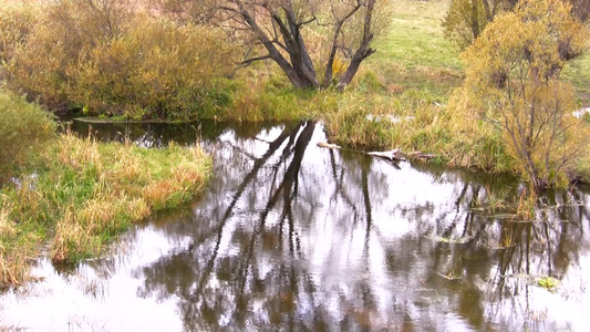 河流源头的秋季景观视频