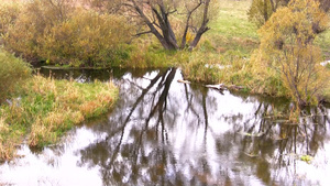 河流源头的秋季景观15秒视频