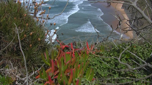 葡萄牙海边的风景16秒视频