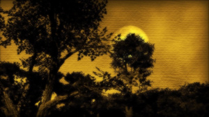 月光下树林15秒视频
