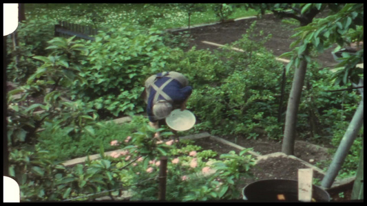 菜园里辛勤劳作的老人复古胶片风格视频视频
